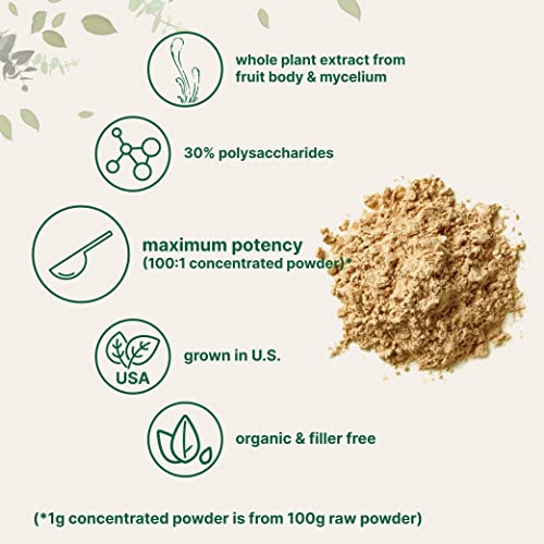 Sustainably US Grown, Organic Cordyceps Mushroom Extract Powder 100:1 | 6 Ounce, 30% Polysaccharides and Cordycepic Acid, From Fruit Body and Mycelium, Supports Energy & Immune Health