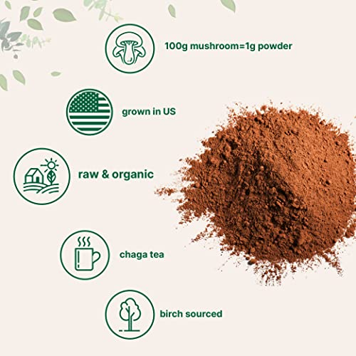 Micro Ingredients Sustainably US Grown, Organic Reishi Mushroom Powder, 8 Ounce, Pure Reishi Supplement 100:1 Extract (Reishi Mushroom)